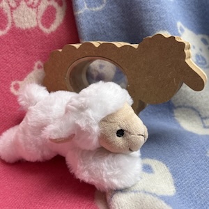 kraamkado met knuffelschaap